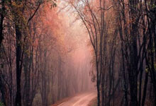 开云平台-利物浦客场不胜，榜首位置悬摇不定