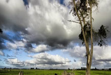 开云体育登录-中国足球联赛新闻瞬间爆出：激情与挑战交织的赛季