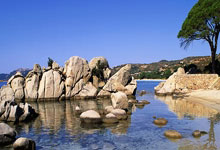 开云体育入口-西悉尼流浪者队长激励全队,挑战强敌士气高昂