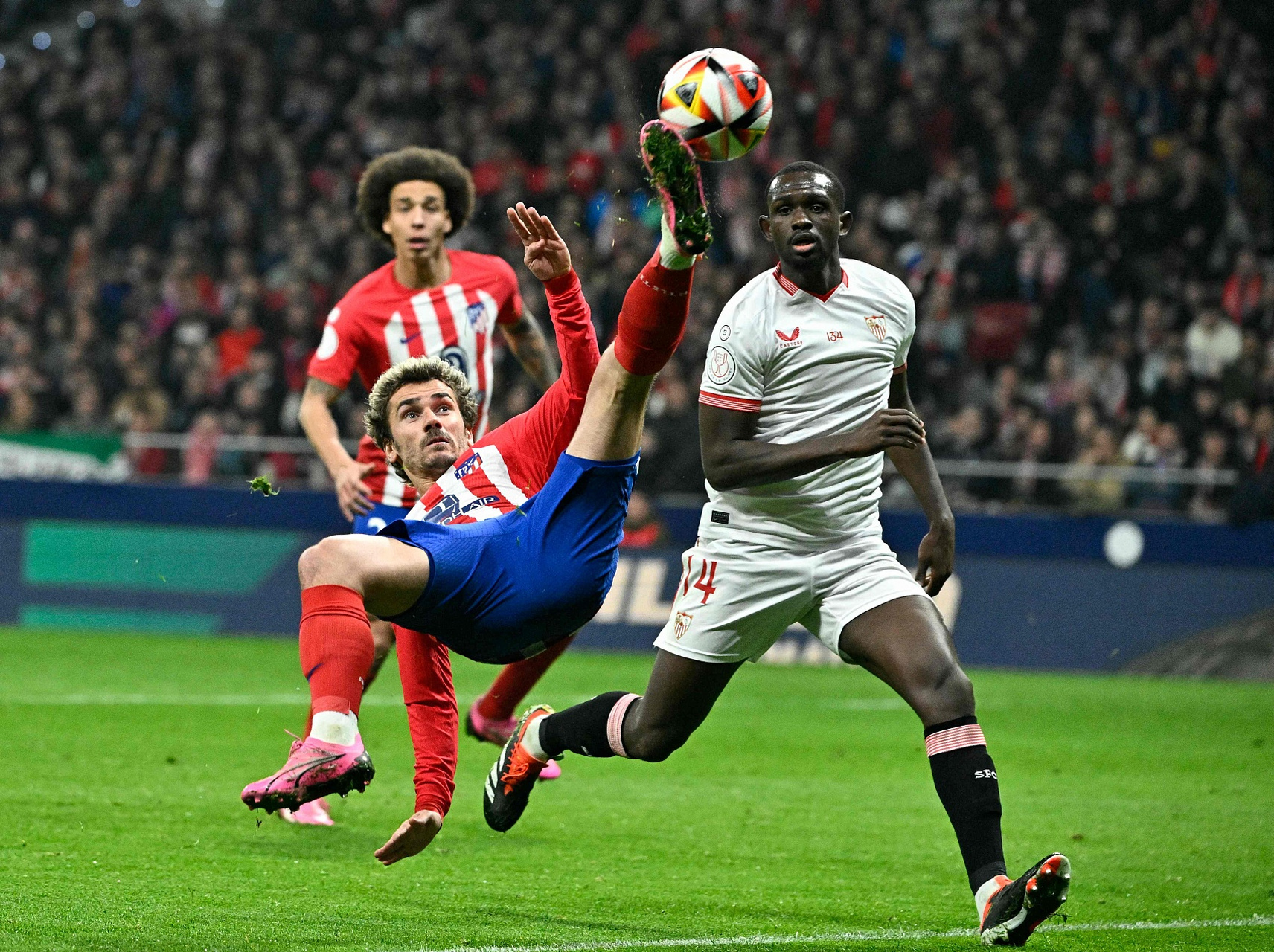 塞尔维亚队在主场比赛中力克对手 塞尔维亚队在主场比赛中力克对手