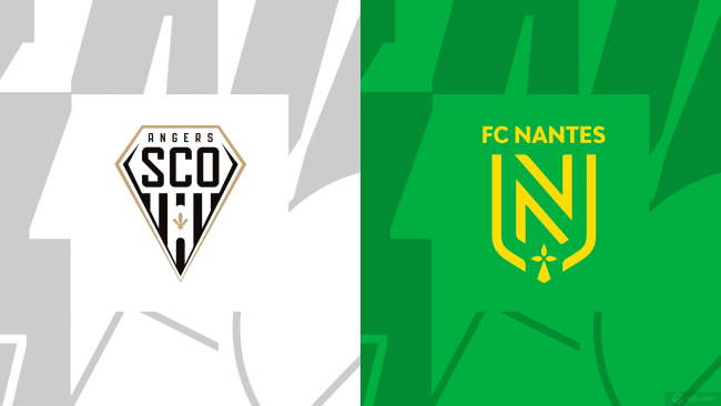 开云体育在线-南特主场战胜昂热，保级压力得到缓解的简单介绍