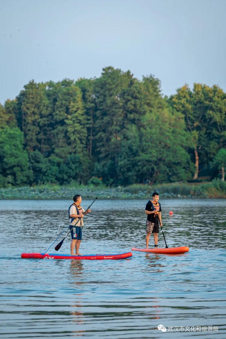 包含津巴布韦帆船队迎来重大突破的词条 包含津巴布韦帆船队迎来重大突破的词条