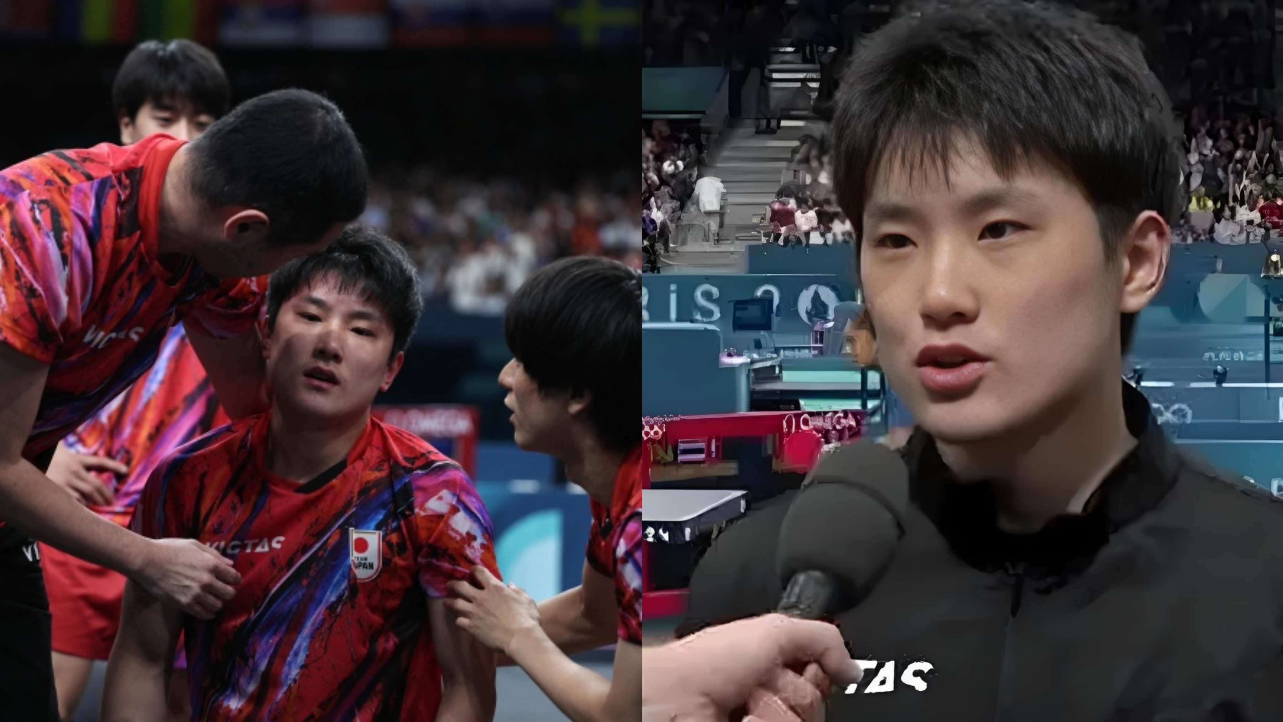 开云体育官网-韩国队横扫波兰队，张本智和点燃赛场